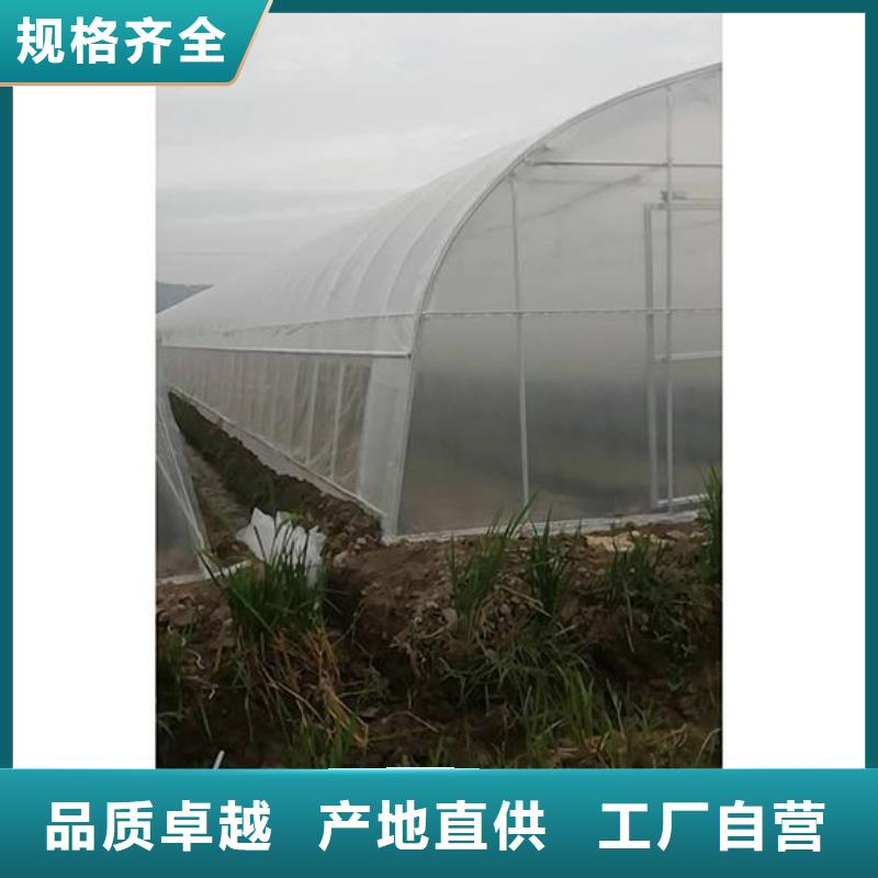 安徽省周边(泽沃)县草莓养殖大棚管品质保证