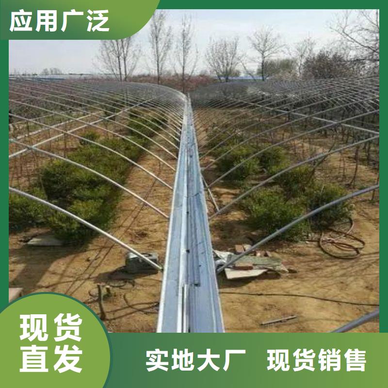 大棚管2,大棚管诚信经营