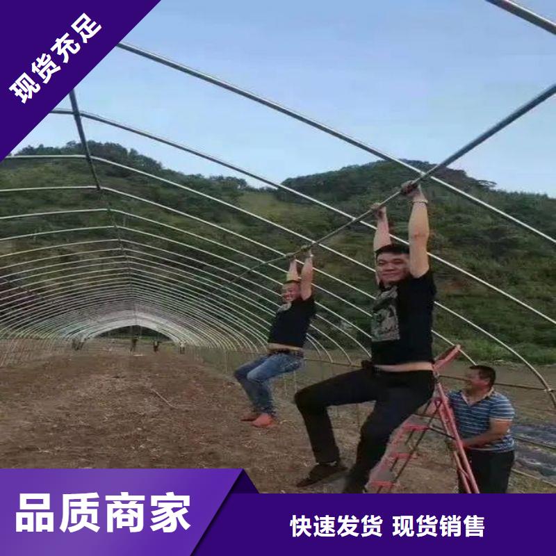 县农用8米大棚管设计