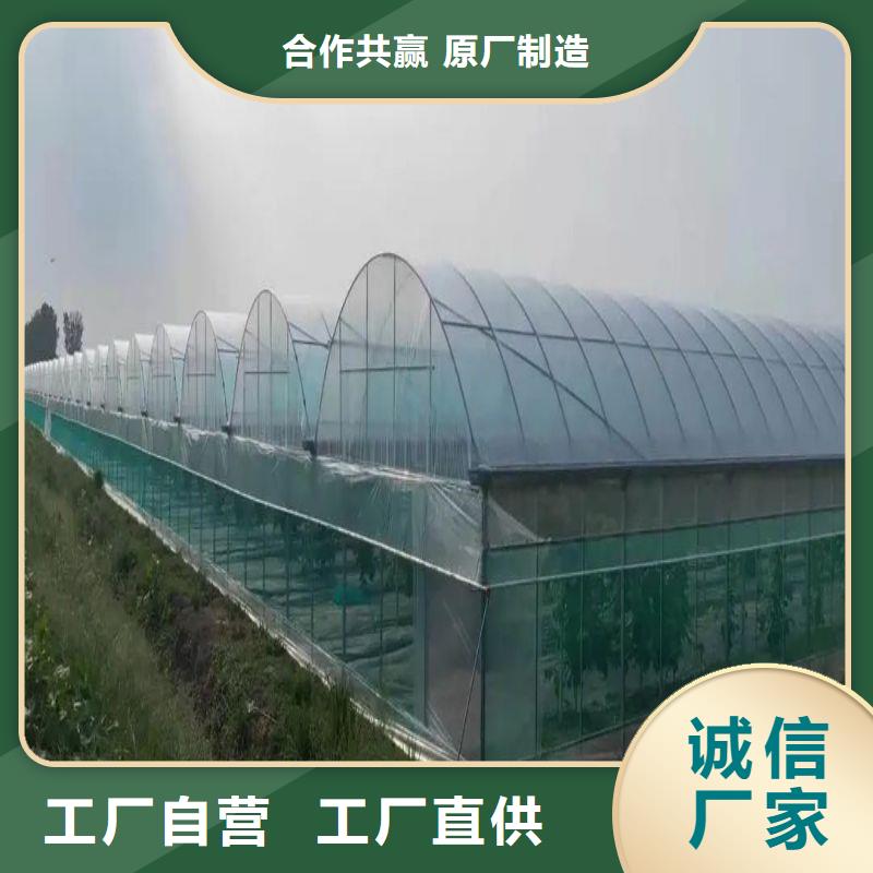 大棚管2 镀锌大棚管N年专注