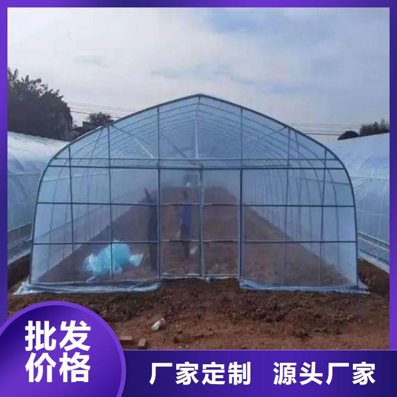 大棚管2椭圆管温室大棚自有厂家