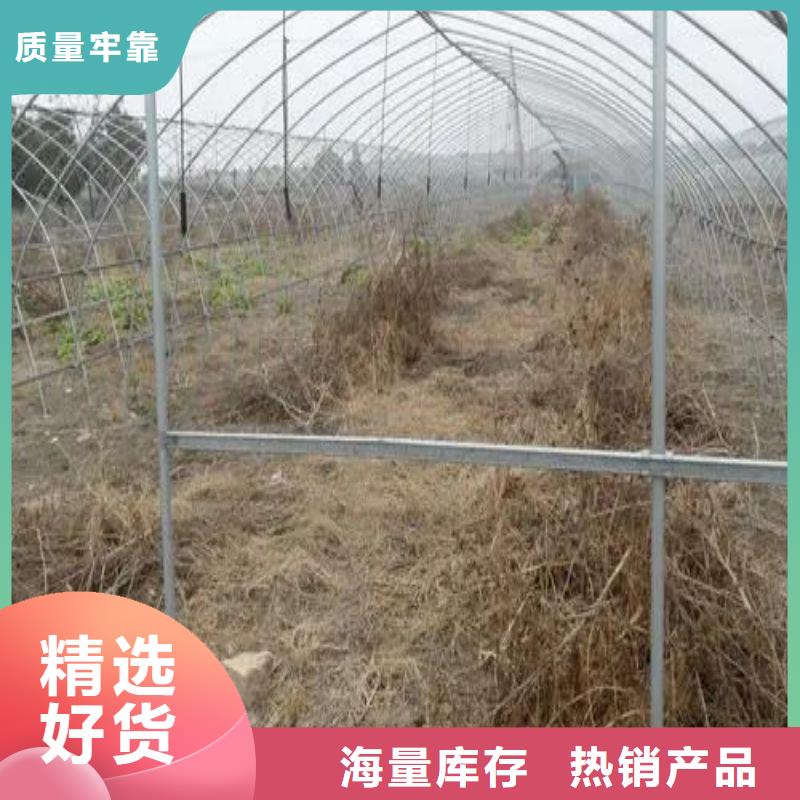 大棚管2连栋温室搭建自有生产工厂