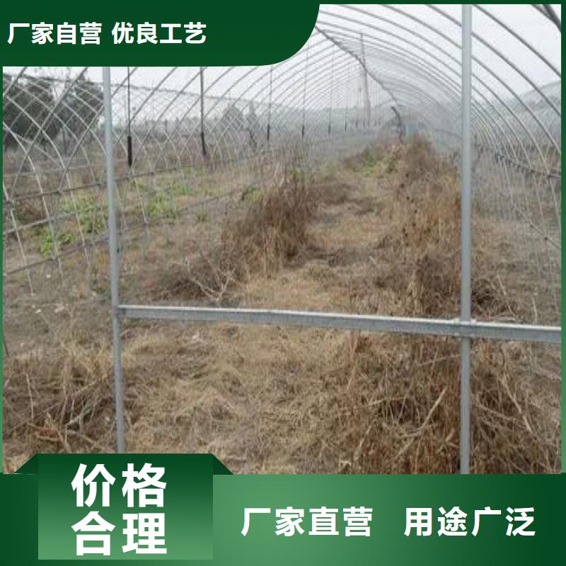 大棚管2 方矩管放心购