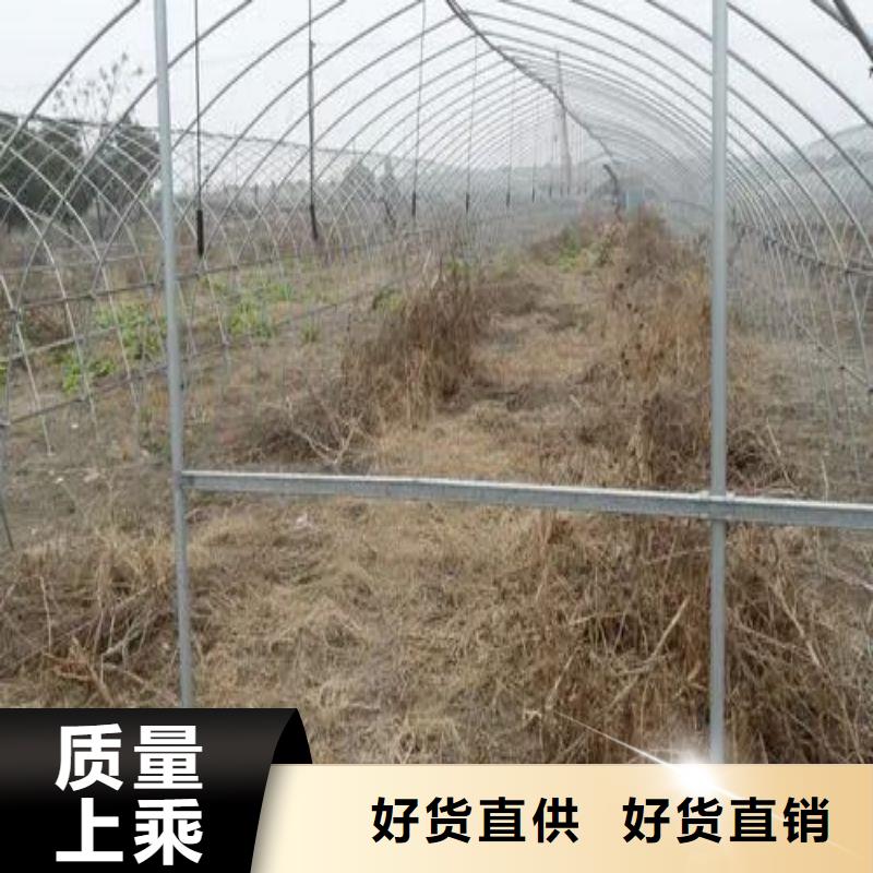 武义种植棚施工团队