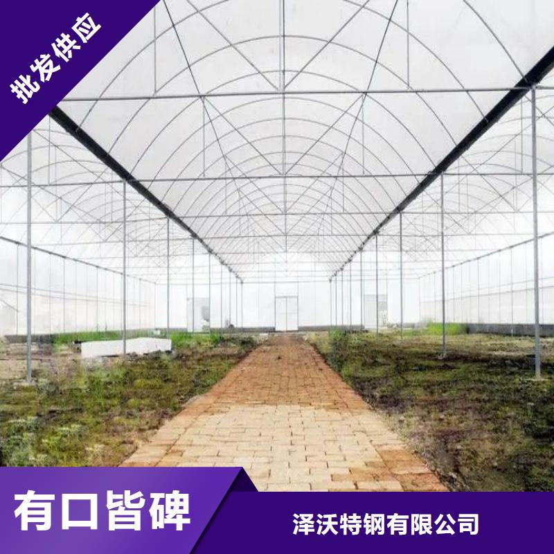 巴彦连栋大棚造价多少一亩厂家2024