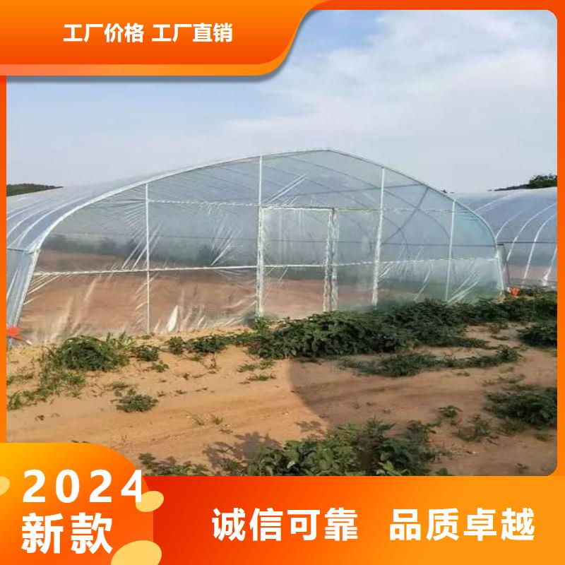 大棚管2温室大棚管精工制作