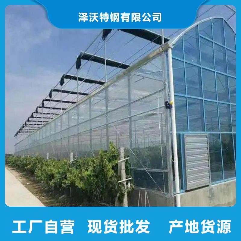 海安县蔬菜连体温室大棚管下单