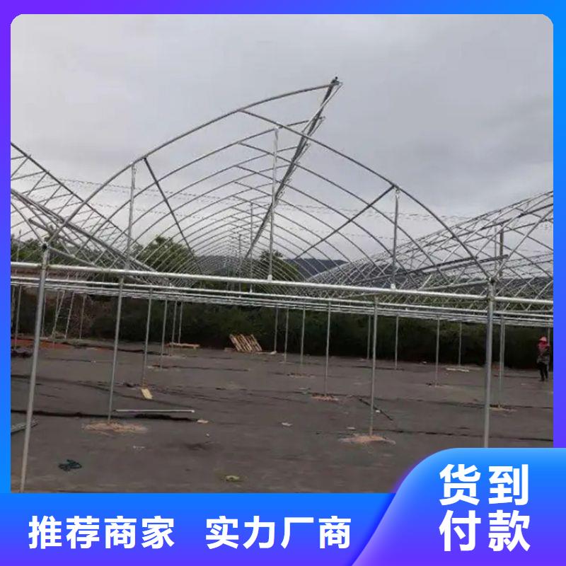 县温室连栋大棚骨架 地址