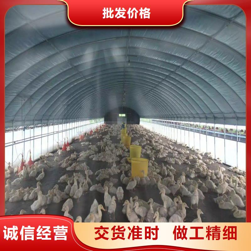 大棚管2方管专业生产N年