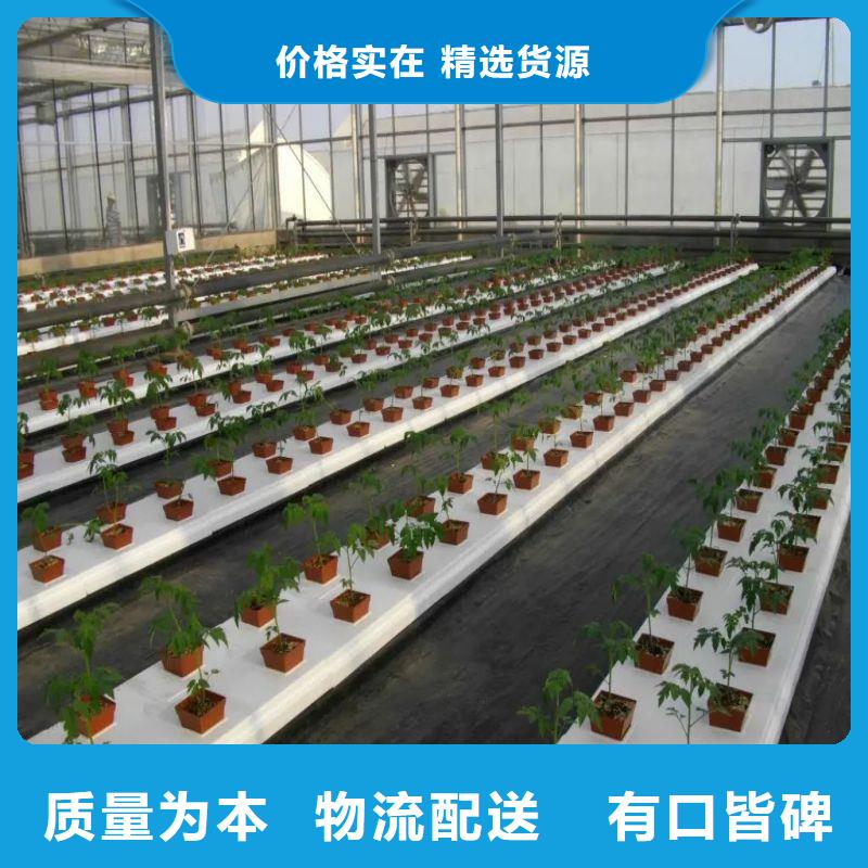 大棚管2-方矩管交货准时