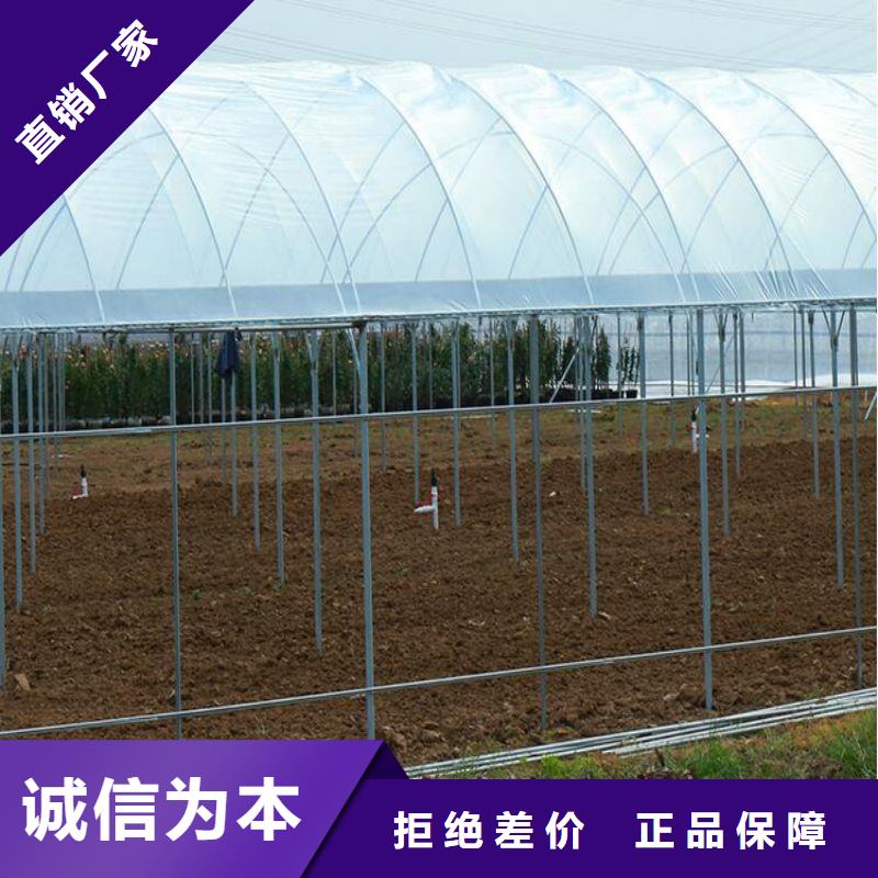 【大棚管2方矩管厂家直销售后完善】