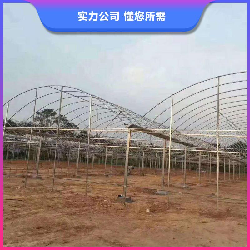 大棚管2温室大棚管专注细节使用放心
