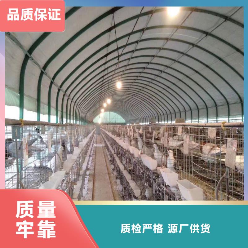 大棚管2,大棚管N年大品牌