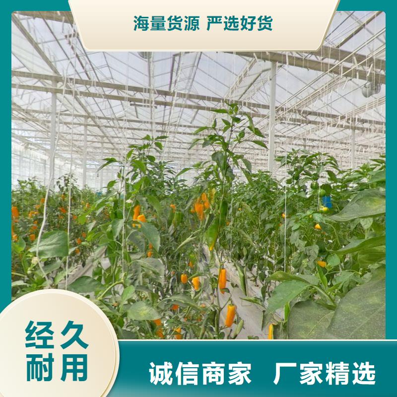 苍梧无锡连栋大棚价格2024