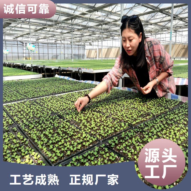 武义种植棚施工团队