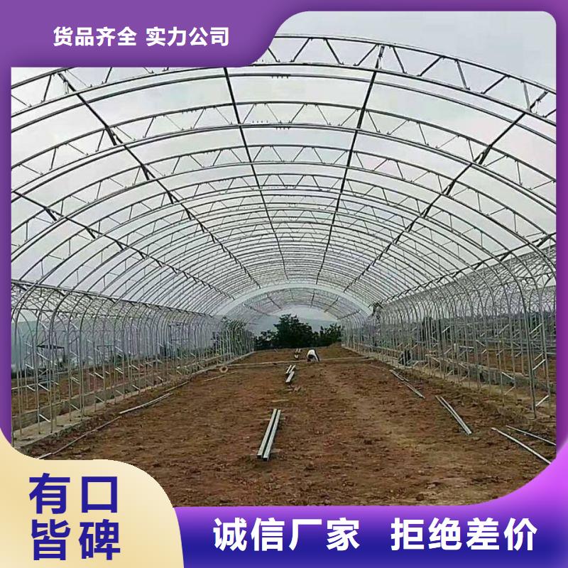 县连体大棚热镀锌钢管实力厂家