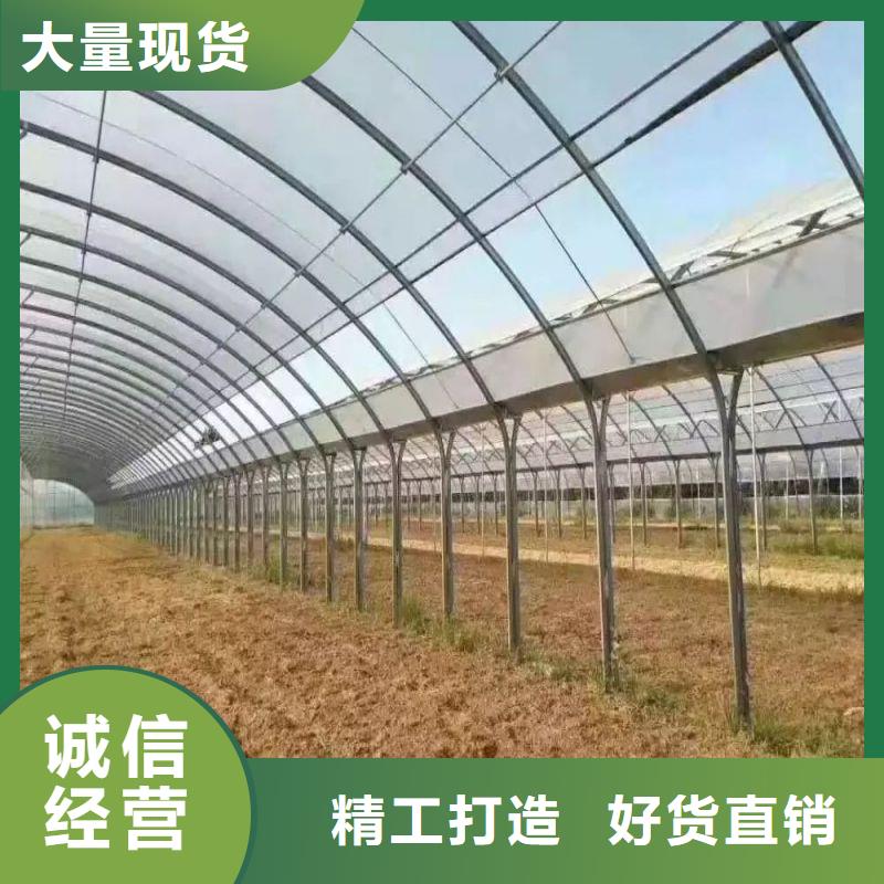 汤原连栋大棚种植欢迎电询2024