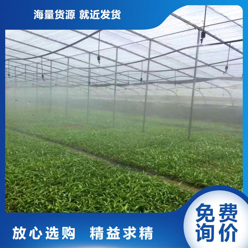 大棚管2椭圆管温室大棚让利客户