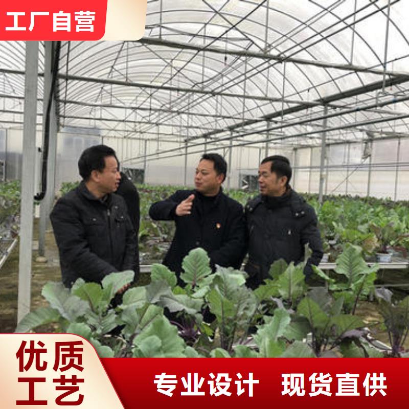  大棚管发货及时