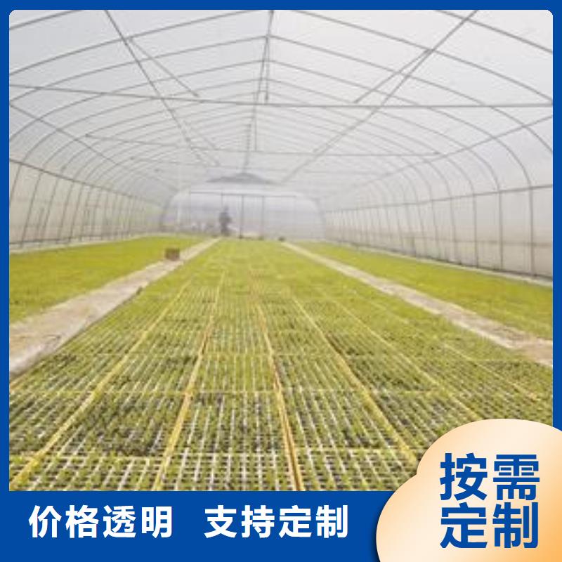 大棚管买的是放心