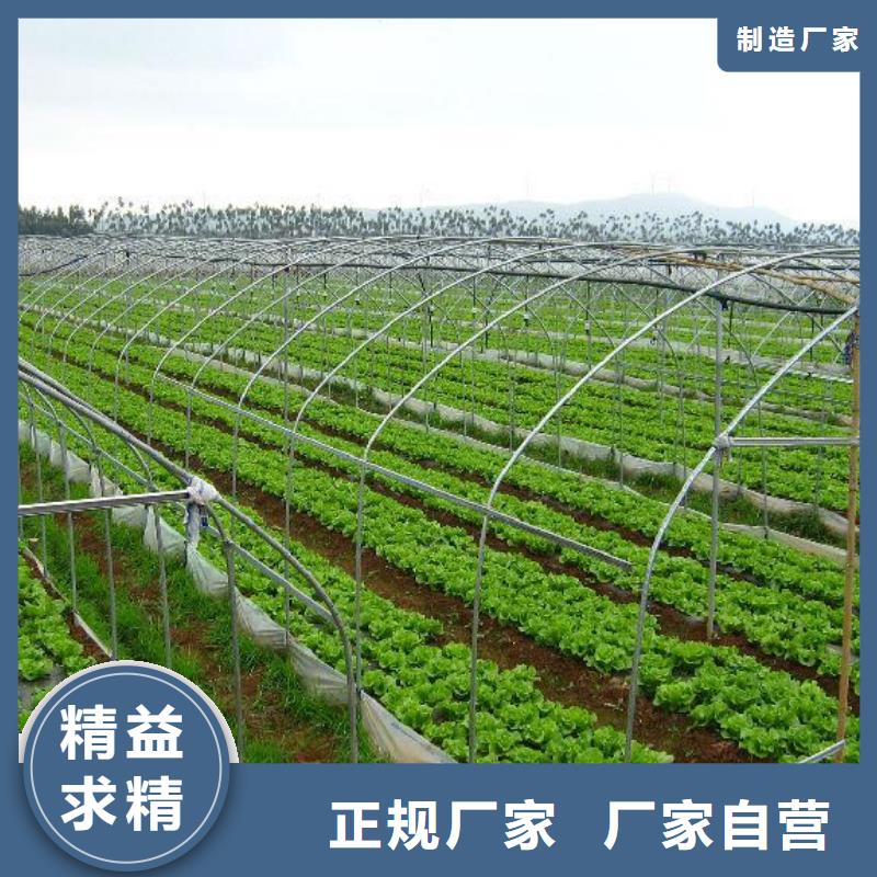 大棚管连栋大棚管厂家直营