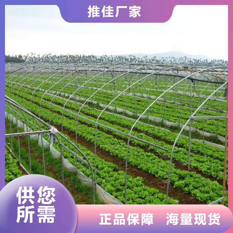 新沂市加工热镀锌管评价优