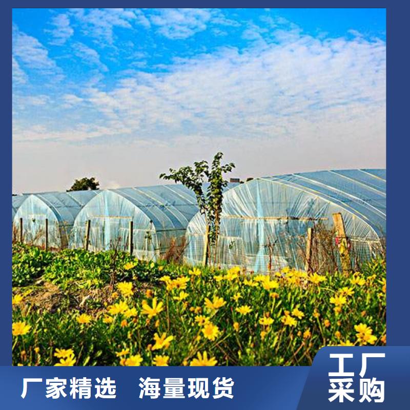 南江蔬菜大棚管质量放心2024已更新