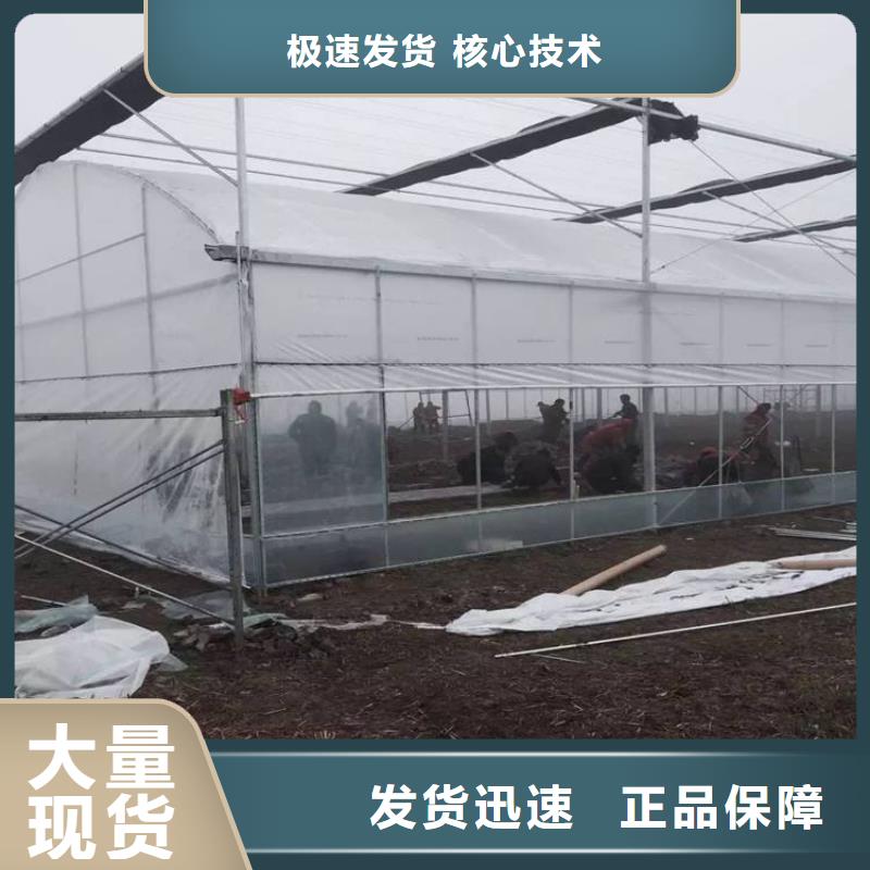 蔬菜大棚管了解更多2024已更新