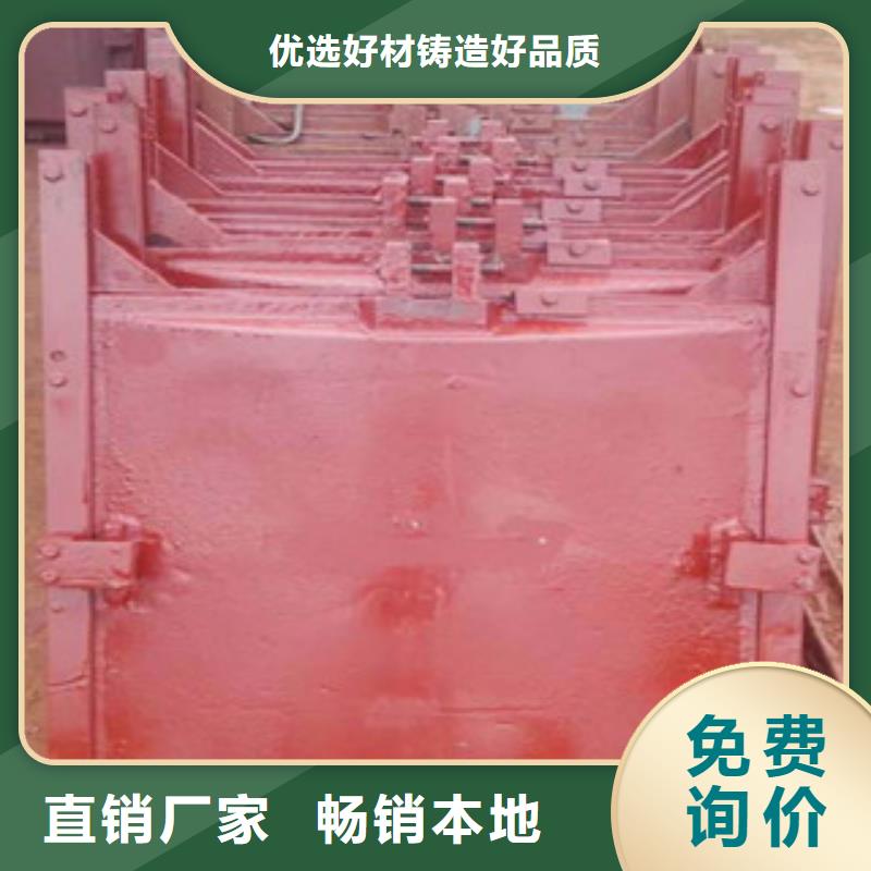 铸铁闸门-液压升降坝自营品质有保障