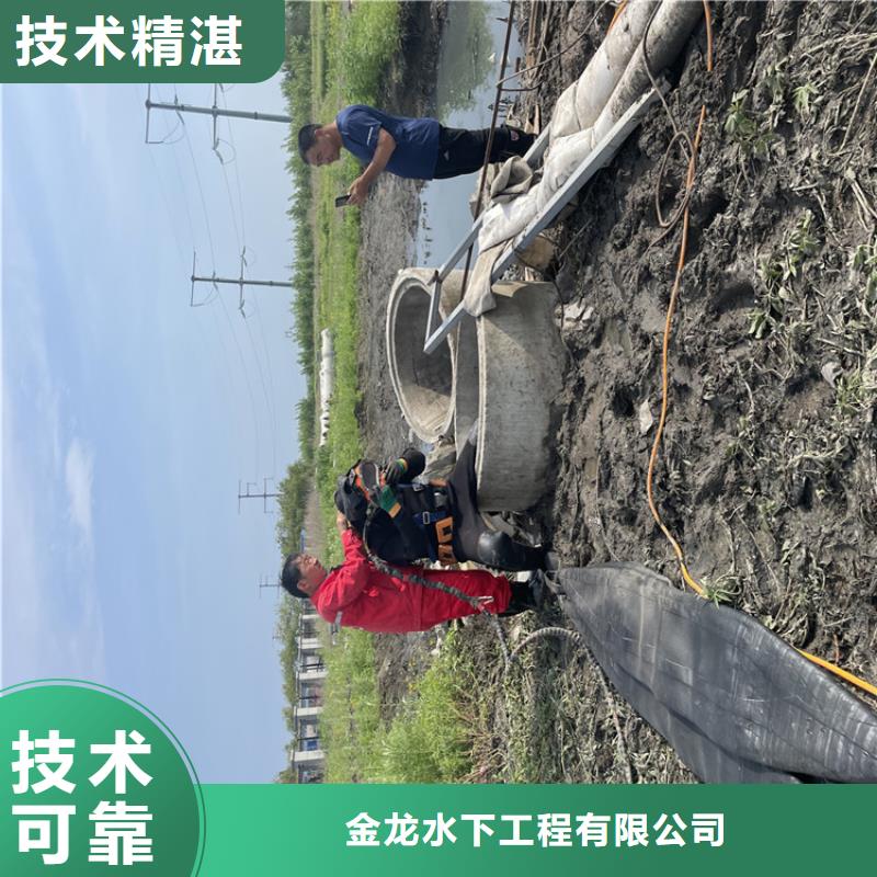本地【金龙】桥桩码头桩拆除公司 本地施工队