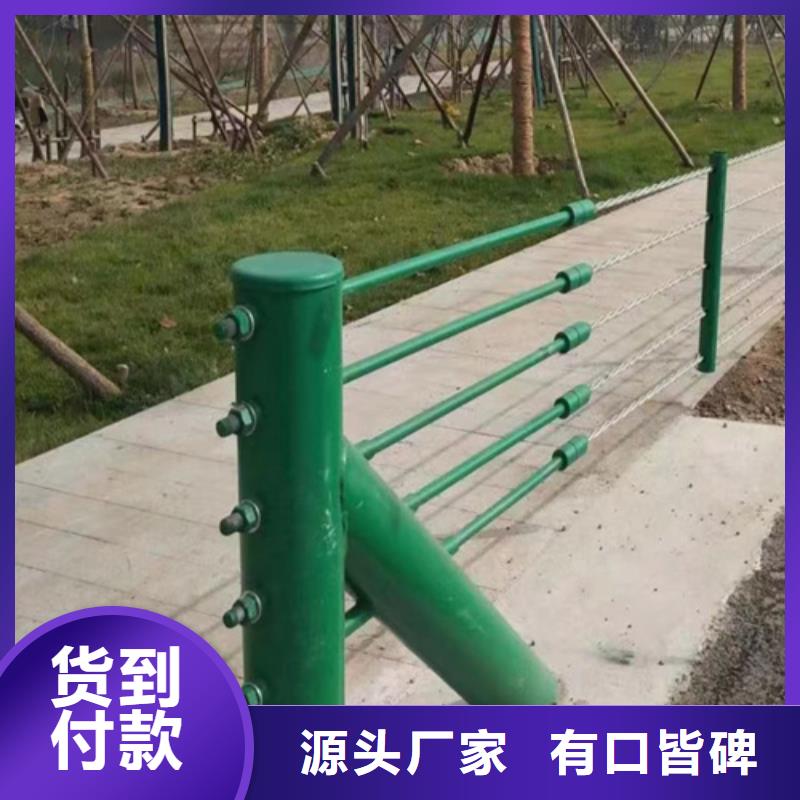 道路防撞护栏		成功案例