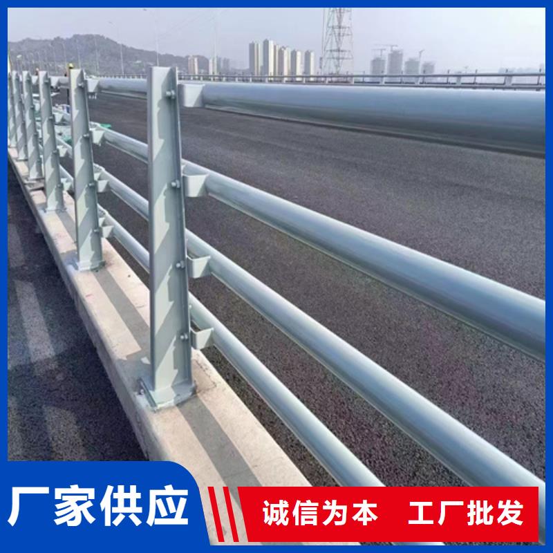 道路防撞护栏		成功案例