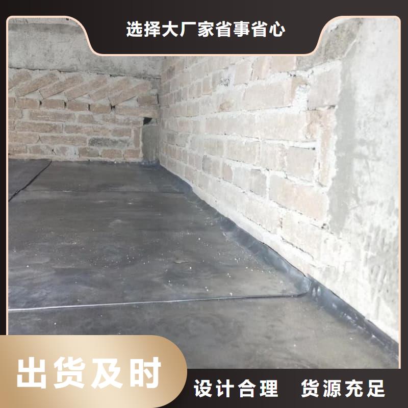 厂家直销 单开平移铅门厂家