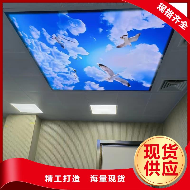 厂家直销 单开平移铅门厂家