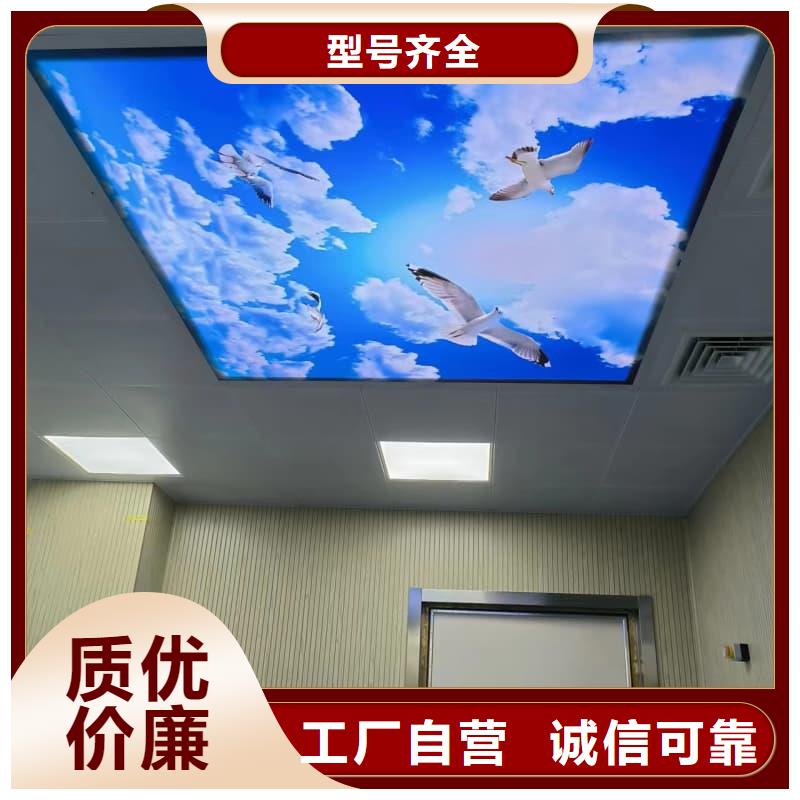 单开平移铅门-货到付款
