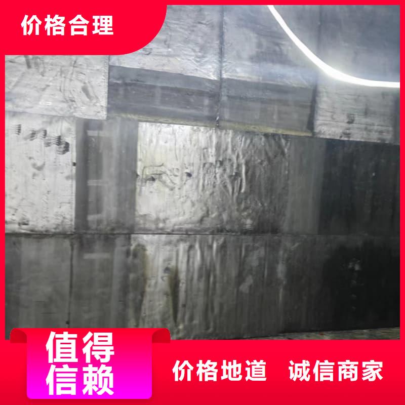 厂家直销 单开平移铅门厂家