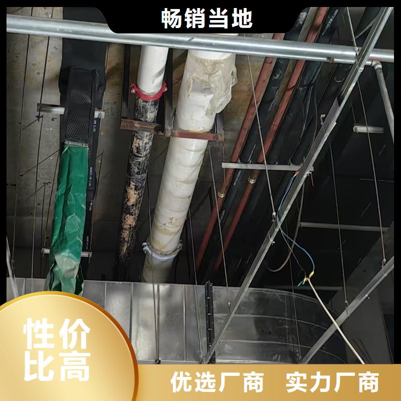 #电动防护铅门#-全国直销
