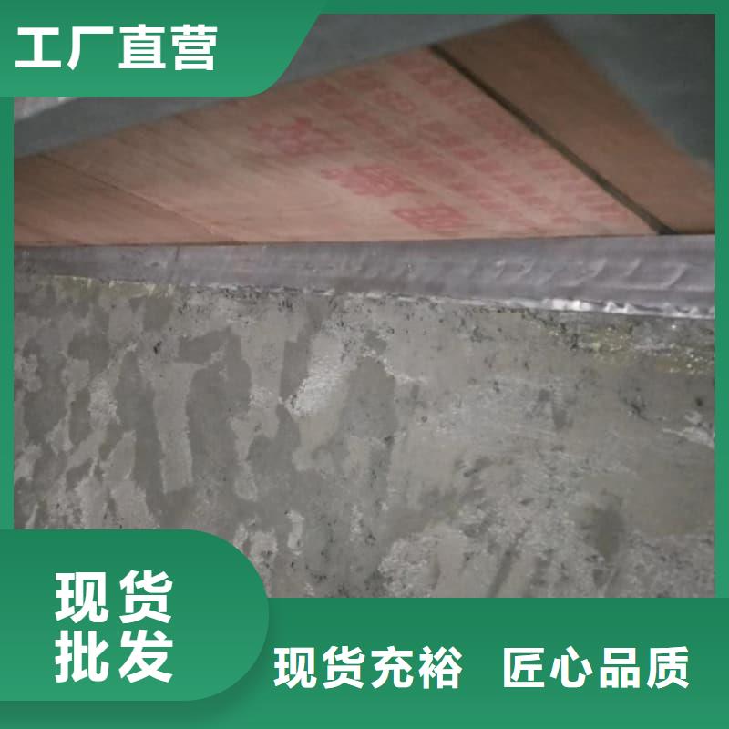 厂家直销 单开平移铅门厂家