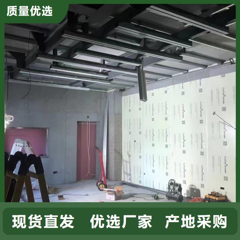 单开平移铅门真货源