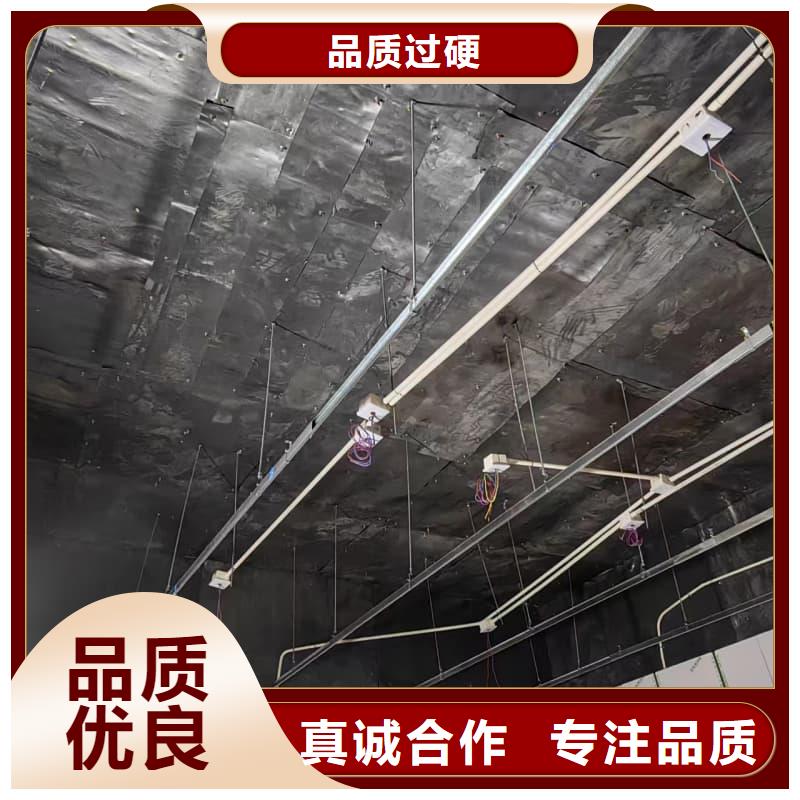 电动防护铅门近行情