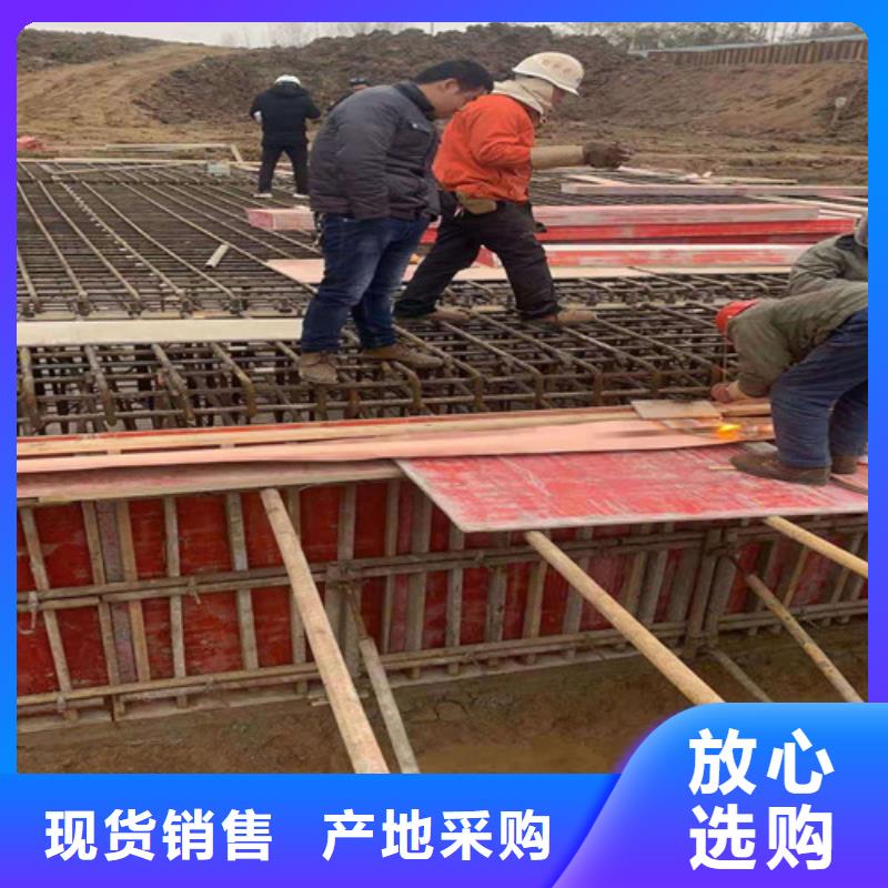 铜排铜片【单向塑料土工格栅】诚信经营质量保证