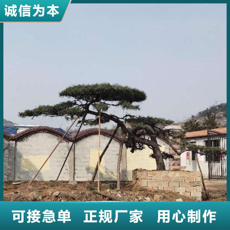 造型景松售后完善