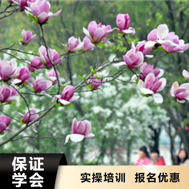单招培训课程多样