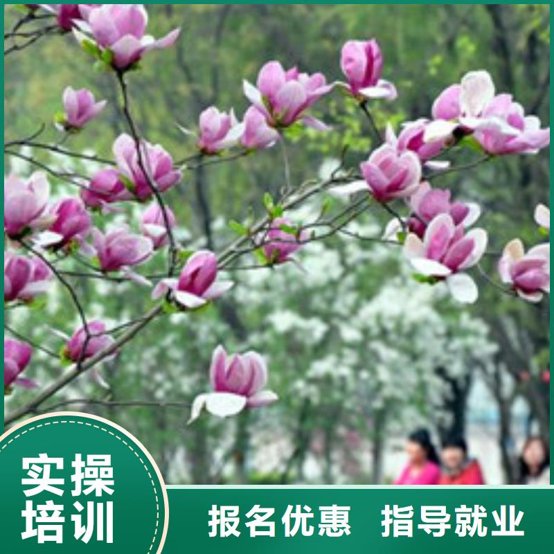 单招培训学真本领