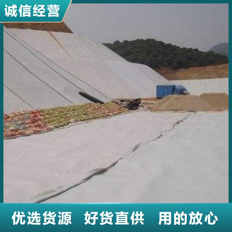 复合土工膜城建土工膜品质不将就