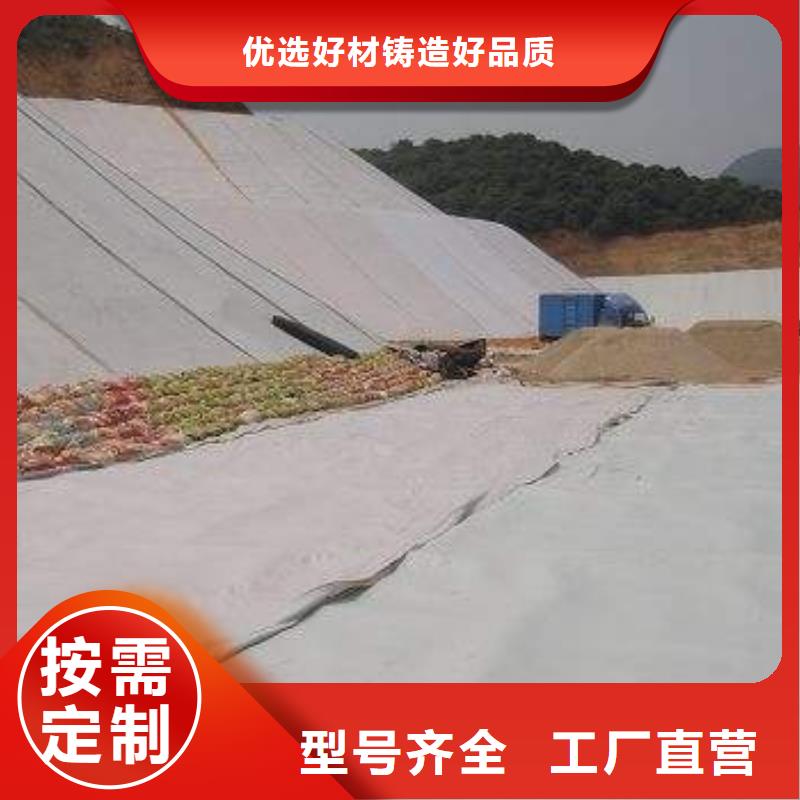 复合土工膜城建土工膜现货快速采购