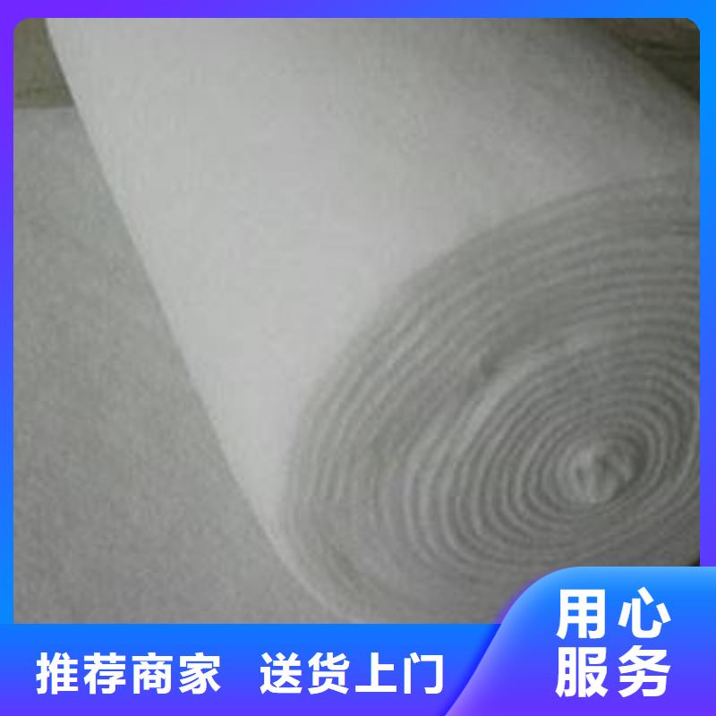 复合土工膜城建土工膜现货快速采购