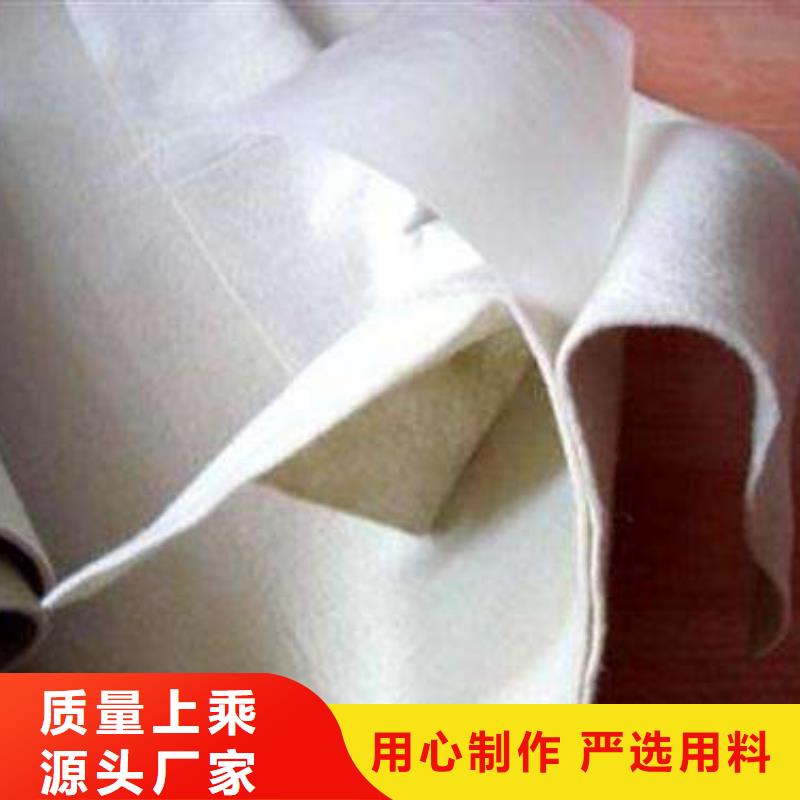 复合土工膜城建土工膜品质不将就