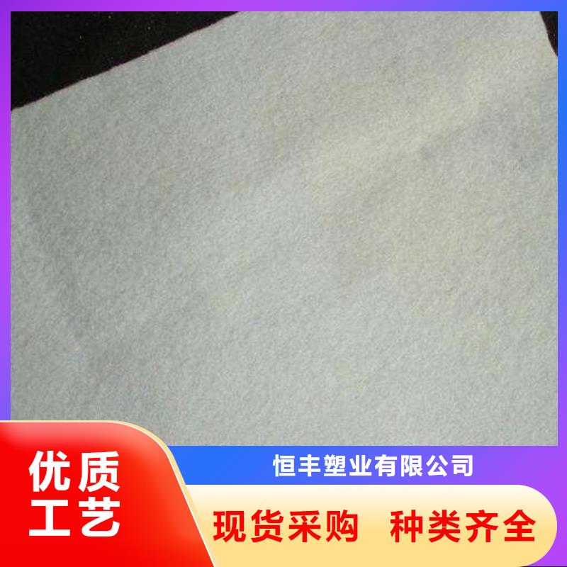 复合土工膜城建土工膜品质不将就