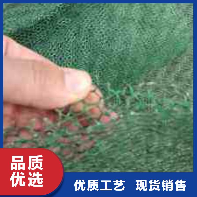 三维植被网凸结点钢塑土工格栅行业优选